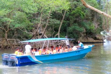 Tagesausflug von Punta Cana nach Los Haitises, Caño Hondo und Montaña Redonda – Erwachsene 125 $, Kinder 95 $ — Guided tour and outdoor activity
