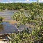 Národní park Jaragua: Prozkoumejte Laguna de Oviedo — Guided tour and outdoor activity