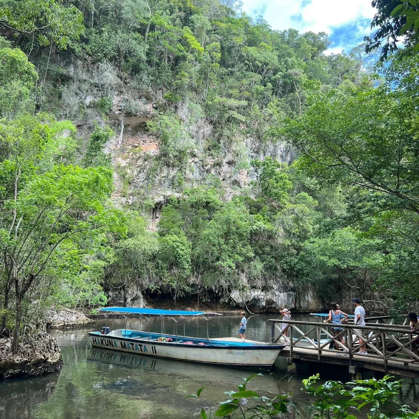 Samaná: Los Haitises National Park & Cayo Levantado Island — Guided tour and outdoor activity