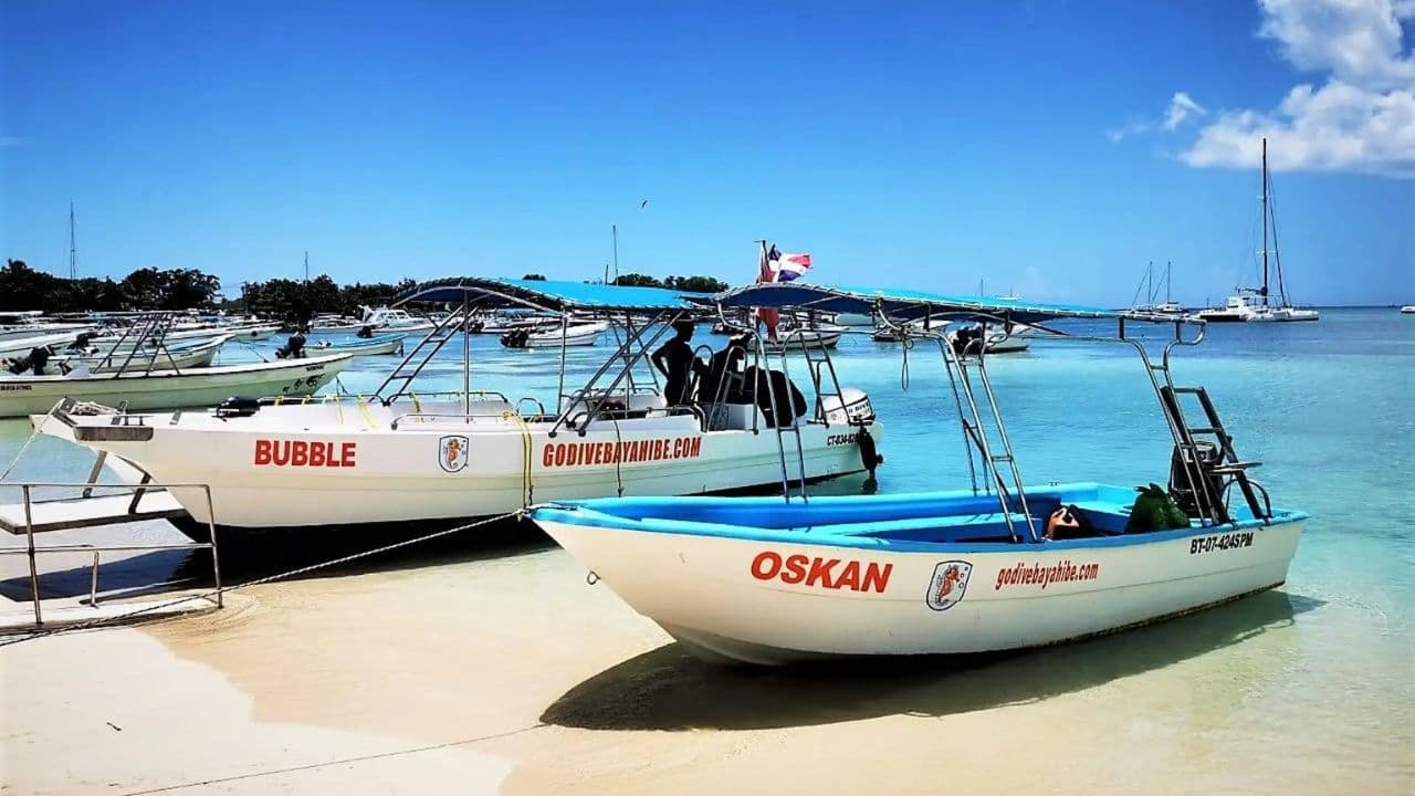 Bayahibe: Zahájení potápění - Godive Bayahibe — Guided tour and outdoor activity
