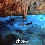 Bayahibe: šnorchlování – moře, park Cotubanama a Cenotes — Guided tour and outdoor activity