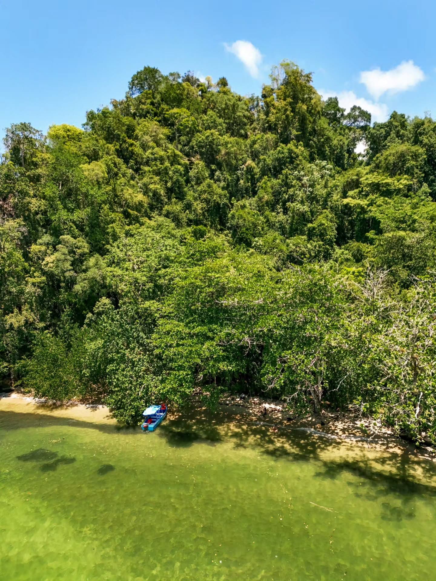 From Punta Cana: Los Haitises and Redonda Mountain Day Trip — Guided tour and outdoor activity