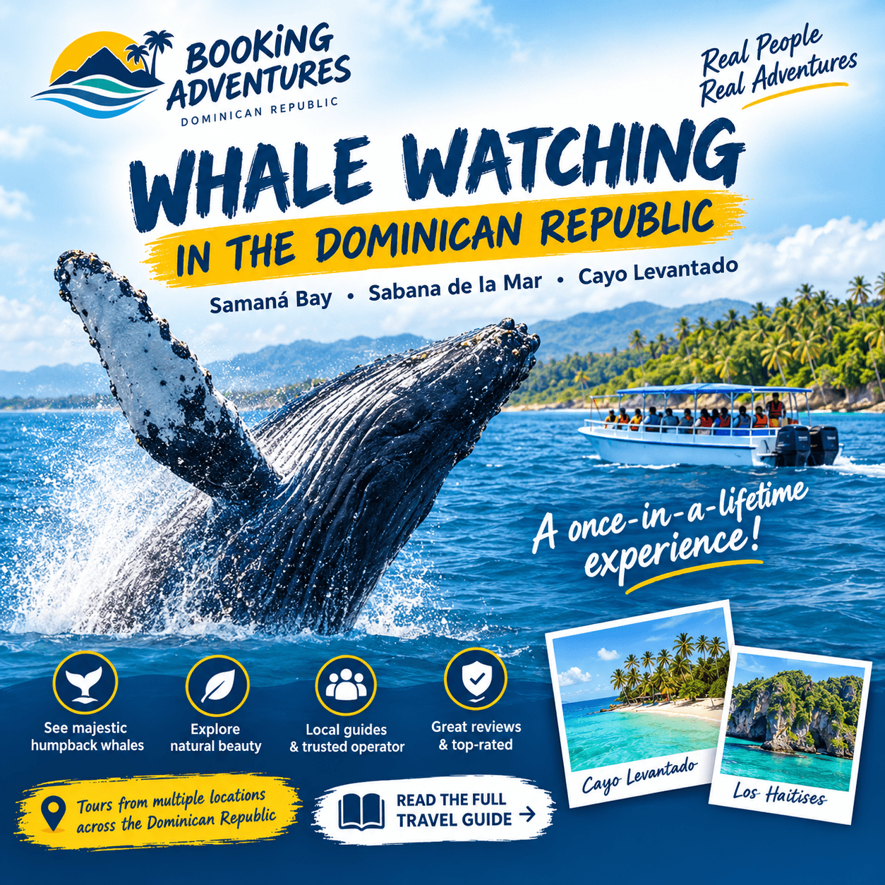 Mejor Avistamiento de Ballenas en República Dominicana | Reservando aventuras - Montana Redonda Guide