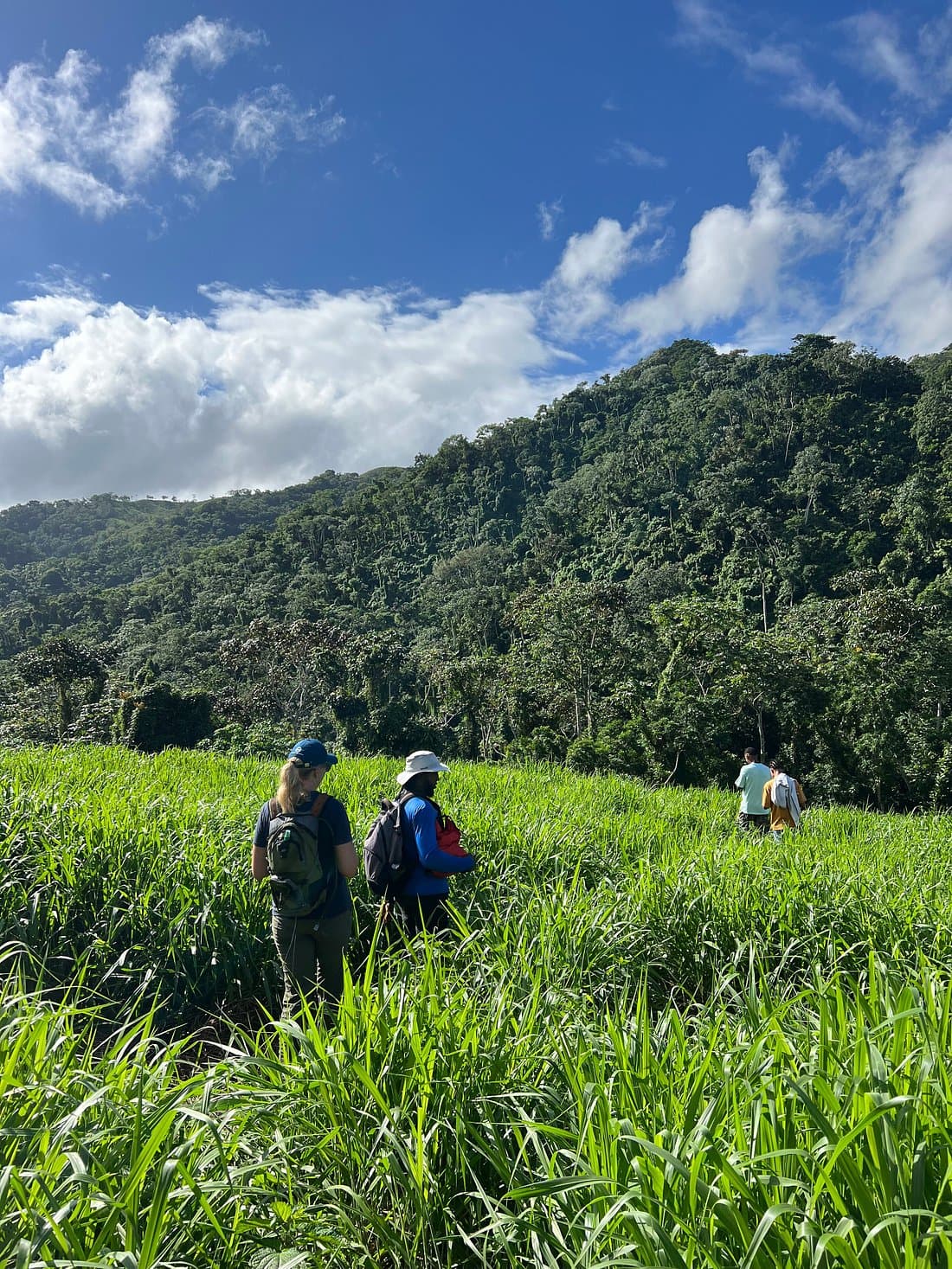 Los Haitises Randonnée | Trails, Wildlife & Gide Nati Tours