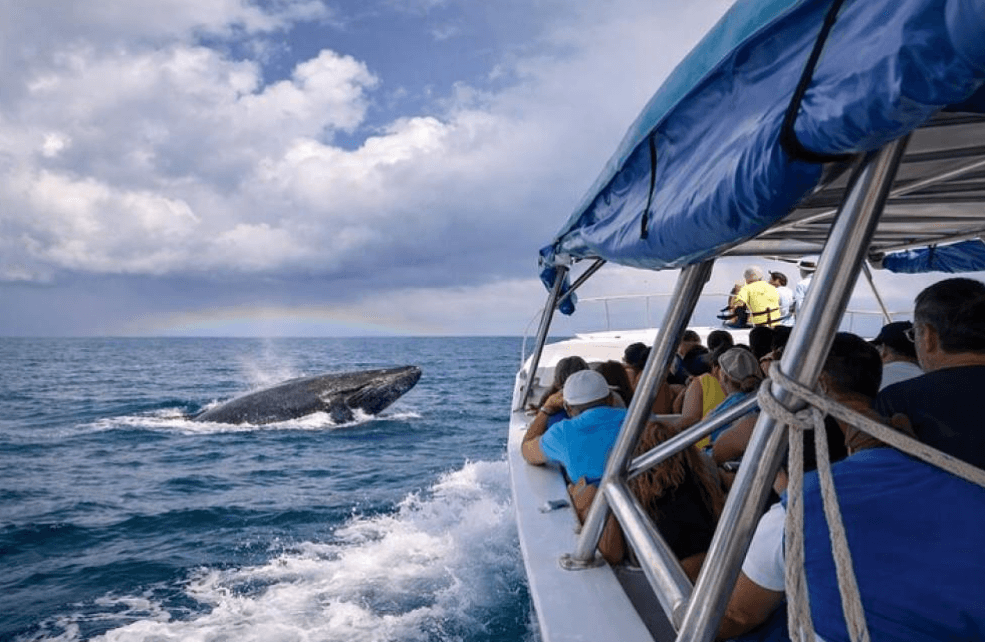 Viaje a la naturaleza de Samaná: una guía de planificación de viajes de varios días