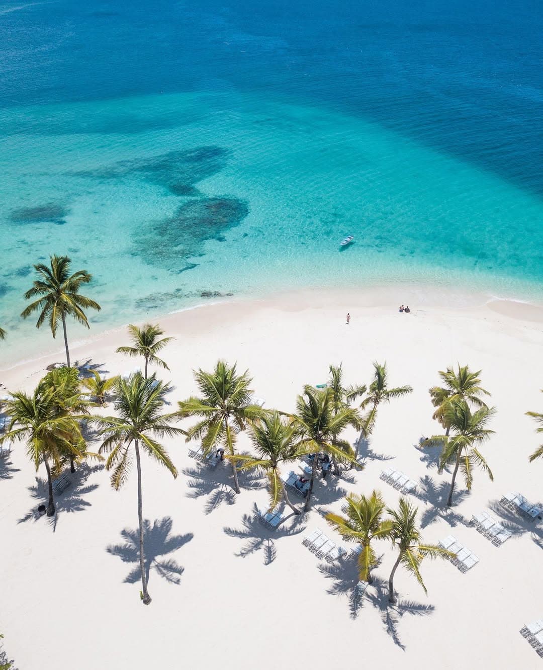 Guía turístico del Parque Nacional Los Haitises y Cayo Levantado (Excursión de un día a Samaná)