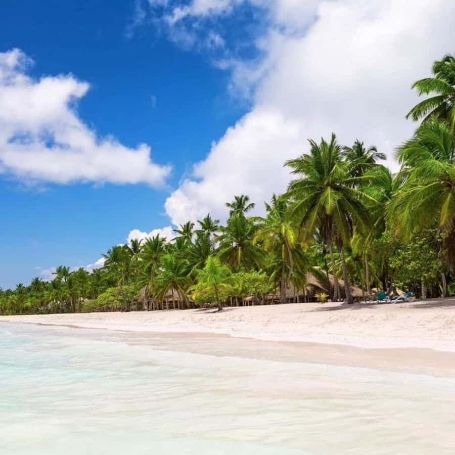All Inclusive výlet na ostrov Saona z Punta Cana: oběd a otevřený bar — Guided tour and outdoor activity