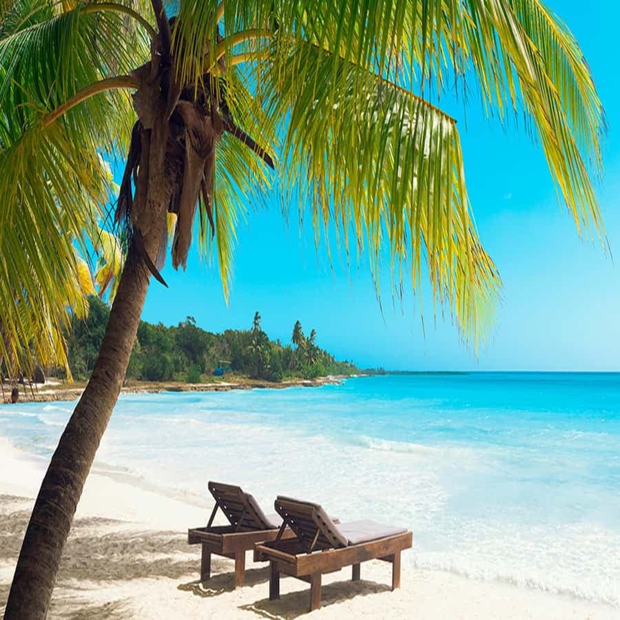 Boca Chica: Saona Island Full-Day Tour with Lunch — Guided tour and outdoor activity