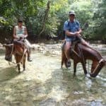 El Limón Waterfall and Bacardi Island (Cayo Levantado) Tour from Punta Cana Hotels — Guided tour and outdoor activity