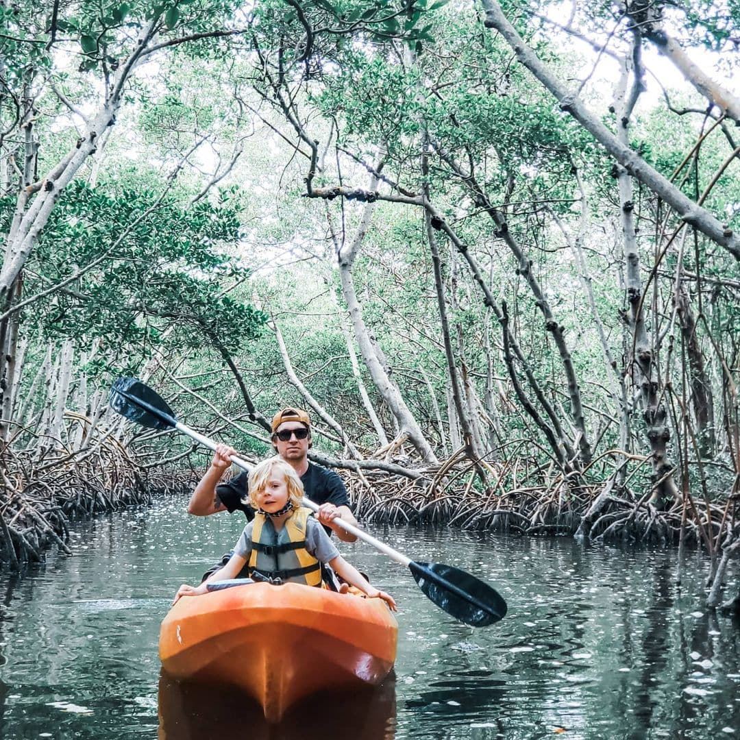 7 mejores cosas para hacer en el Parque Nacional Los Haitises en 2026