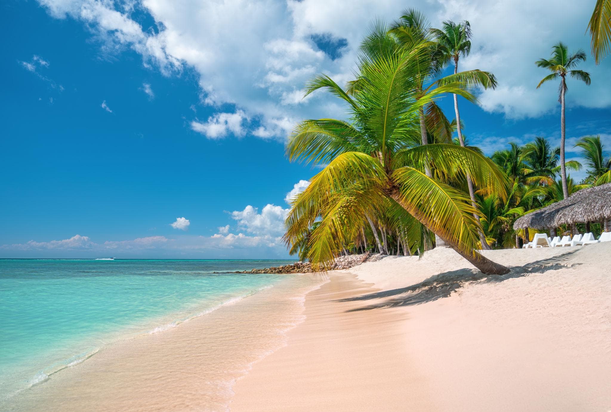 Mejores Tours en República Dominicana | Isla Saona, Los Haitises y más