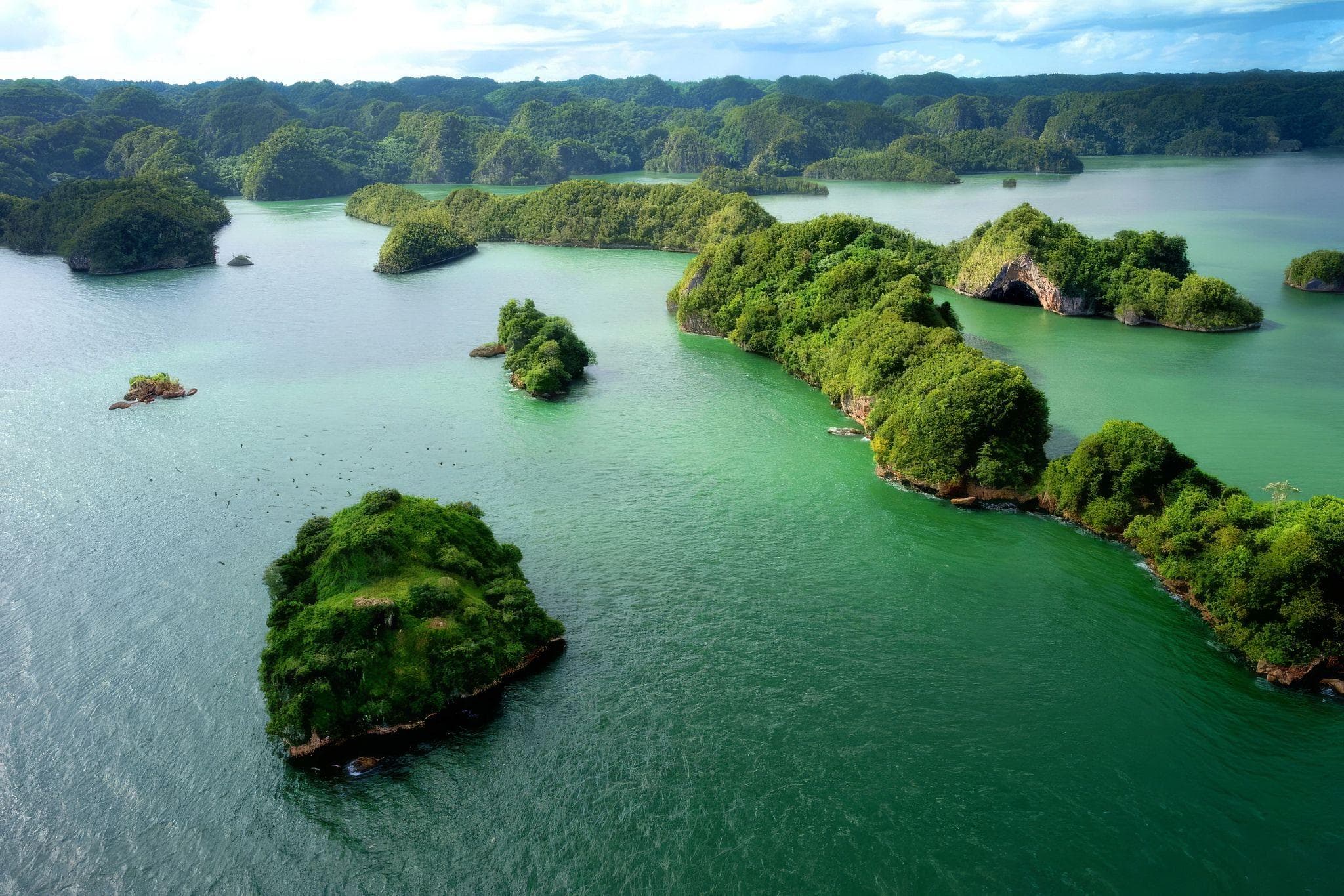 MEJORES TOURS A LOS HAITISES (ENLACES DE RESERVA INCLUIDOS)