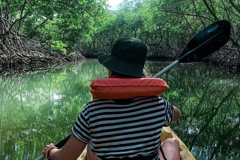 Parque Nacional Los Haitises en Kayak: una aventura para un viajero solitario en mayo de 2026